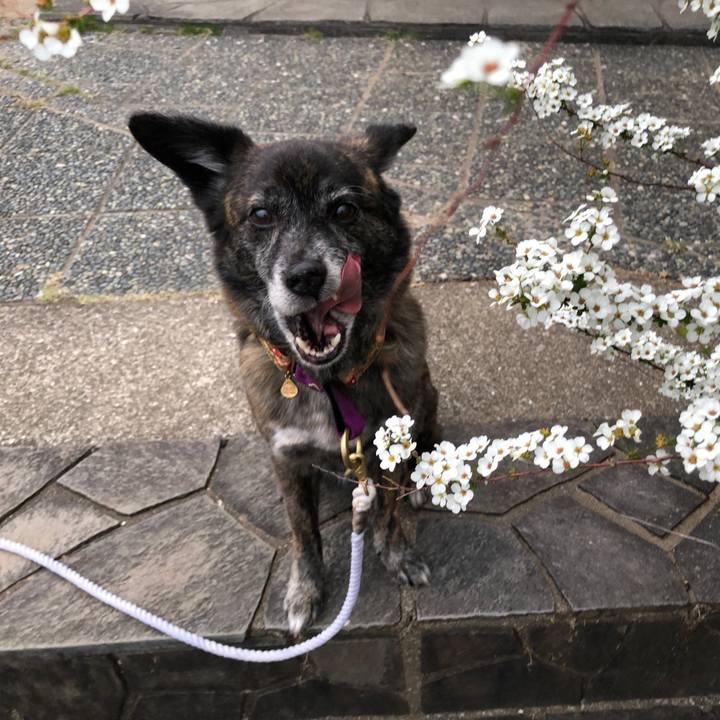 Ed63229b eda5 4820 8e79 0406036ff747 1615727728014