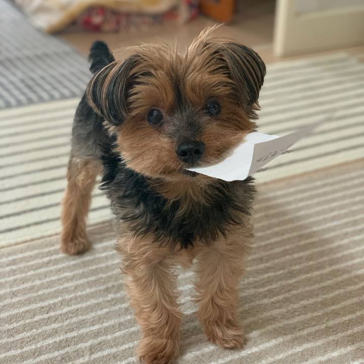 Ed63577e f409 4c4d 955c cb3c38718dd1 1623570451513