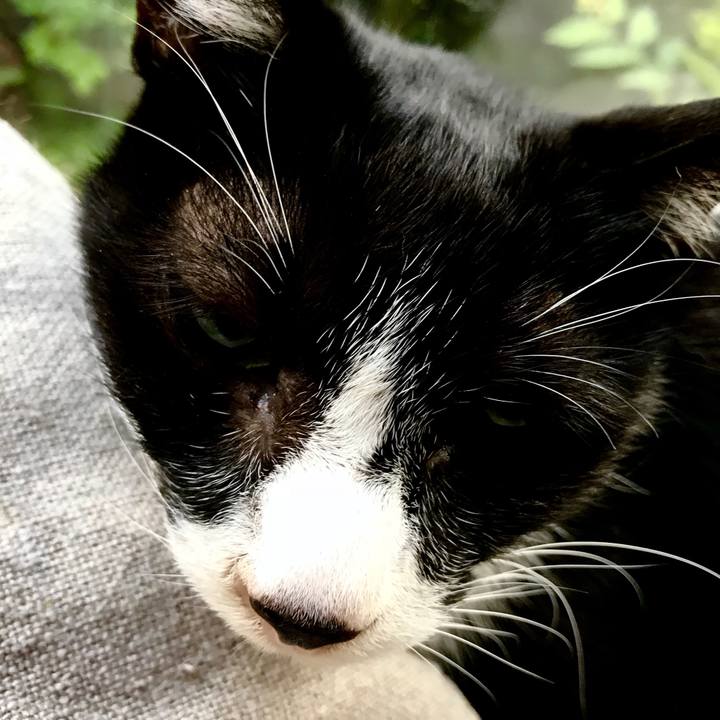 Ed63ecc1 3cd9 4d48 b7bd 92ea29ed47e2 1526460594416