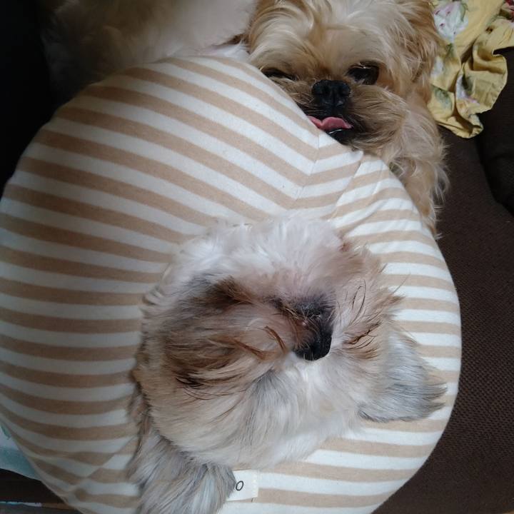 Ed63fede f53d 4b0b 931e 8b01b35c9ced 1602770341511