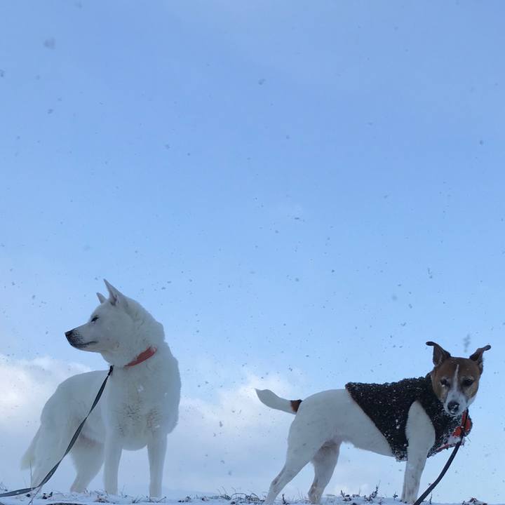 Ed64065a 4291 49a6 8e27 a949f6c69c49 1518398831141