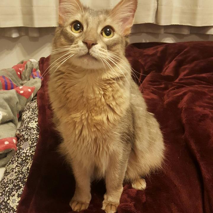 Ed642fa0 3984 4a73 8342 93680284237c 1545399878750