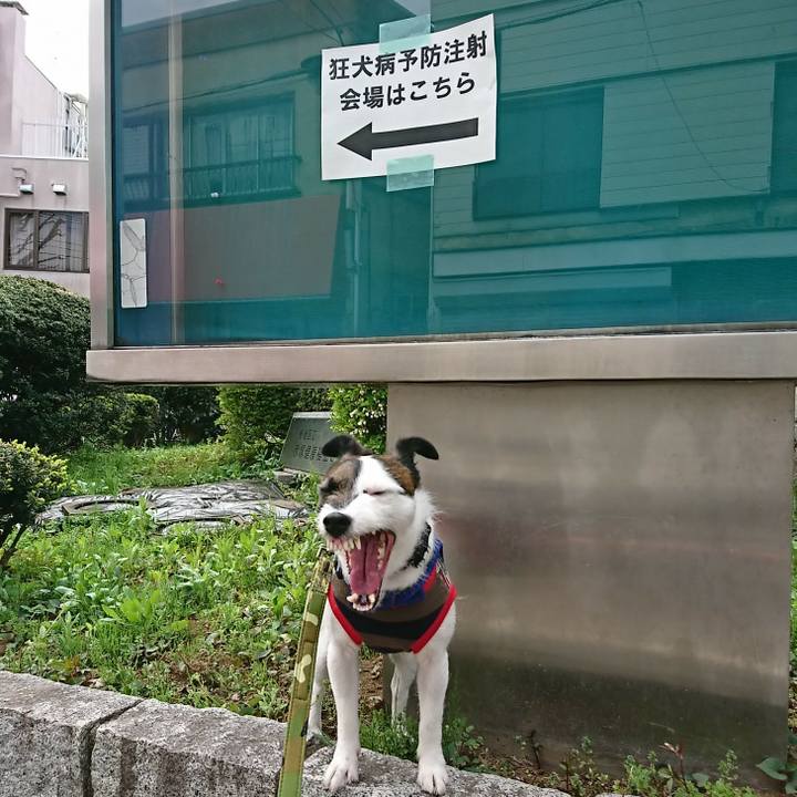 Ed646f4f 3f86 489f b917 4fc194dde384 1523071675720