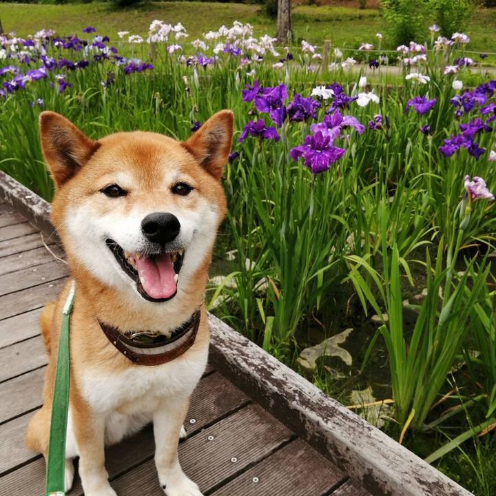 Ed64809f 2a07 49a3 b8cf 25a53d782542 1622595963718