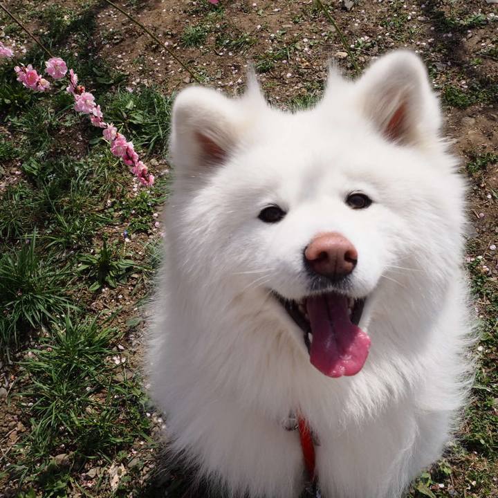 Ed648d49 bc3d 45e9 9593 83aba9320183 1521381672011