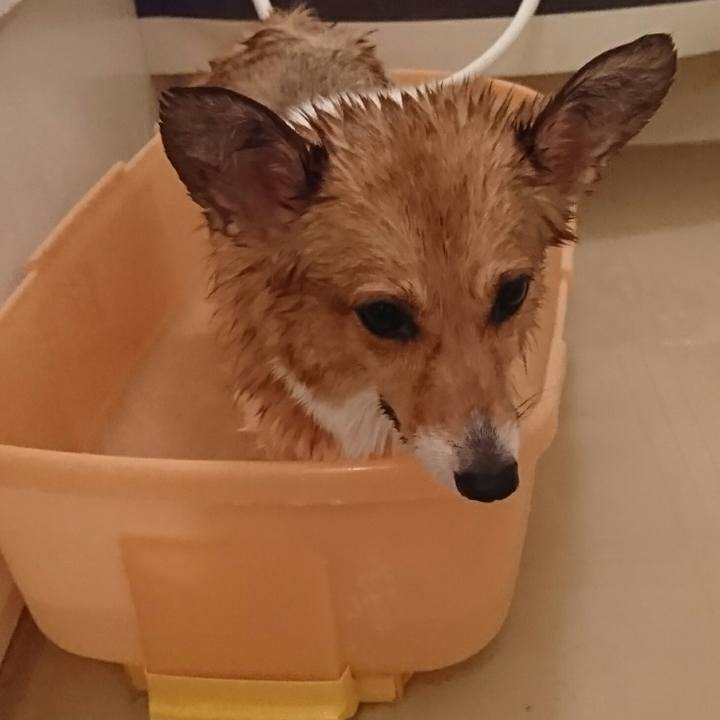 Ed64a811 b9fa 4f7a a870 1c8821d08a6f 1510485140511