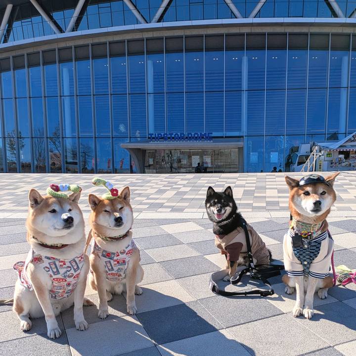 Ed64ba6e 711e 4248 bdae 377575ceda53 1735625141777