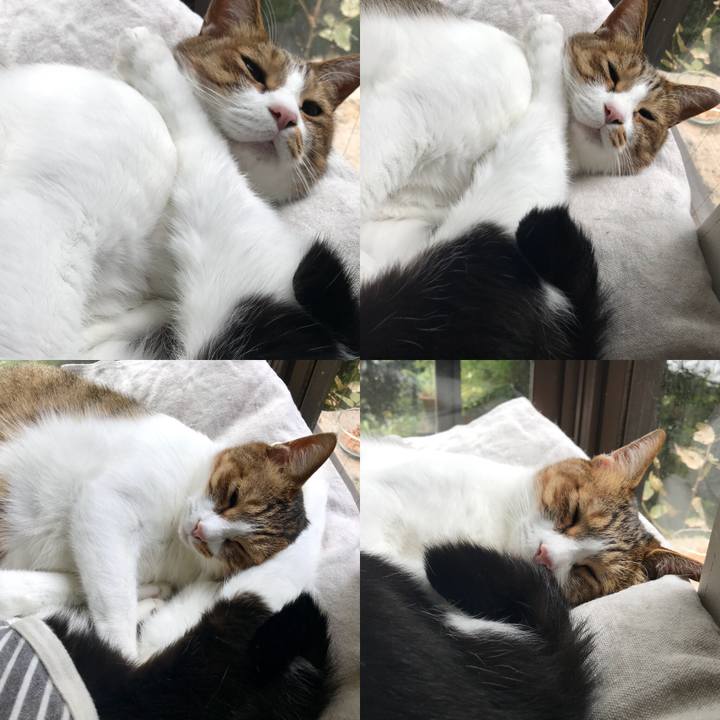 Ed65265e e38e 4e6b 86da a7fb0fd94c9a 1538531574953