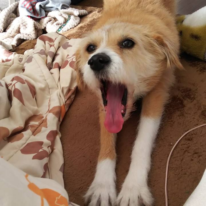 Ed653299 036e 41ff 8a75 4ff181b1de0f 1548130170952