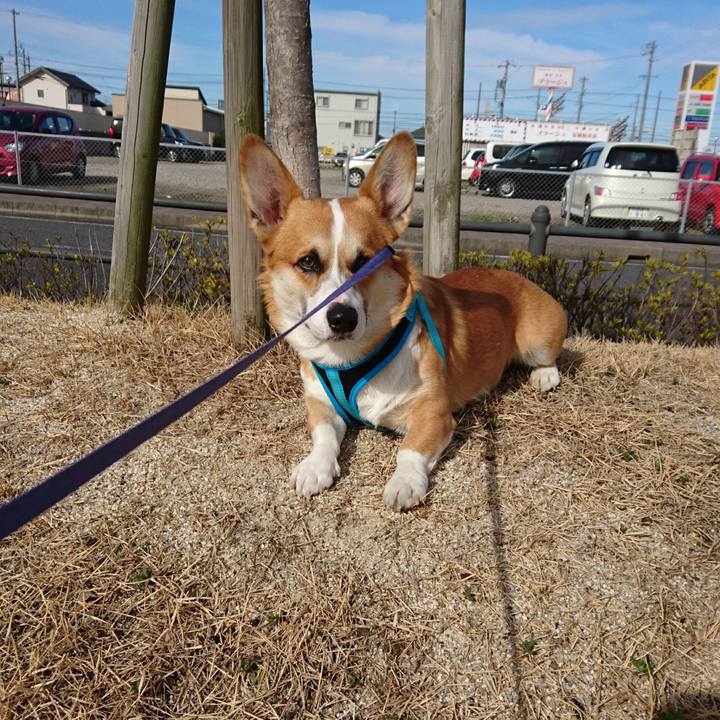 Ed6582d7 45e1 4b2e 8901 1dd973c46757 1583201829230