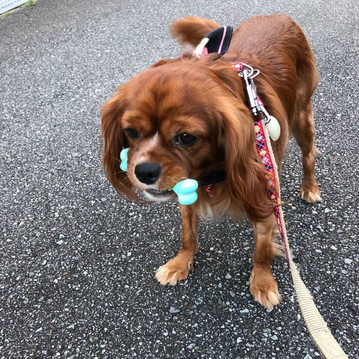 Ed65889e 20bc 4ab8 a877 e0f513af6b15 1533435441669