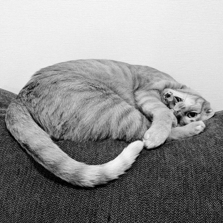 Ed658f59 c717 4019 8948 3d0cc85dc624 1664628617453