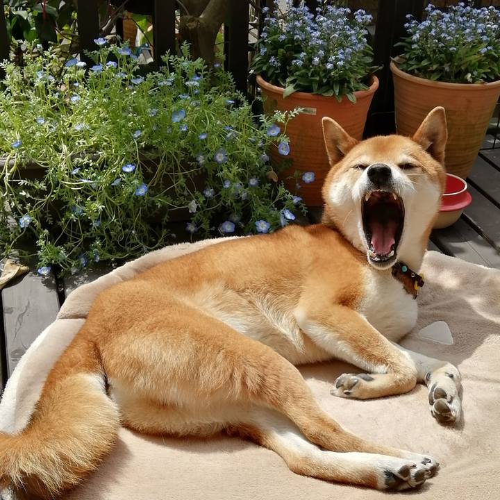 Ed6597e9 6c12 4f6a 8797 ab8d947d3264 1586224404500