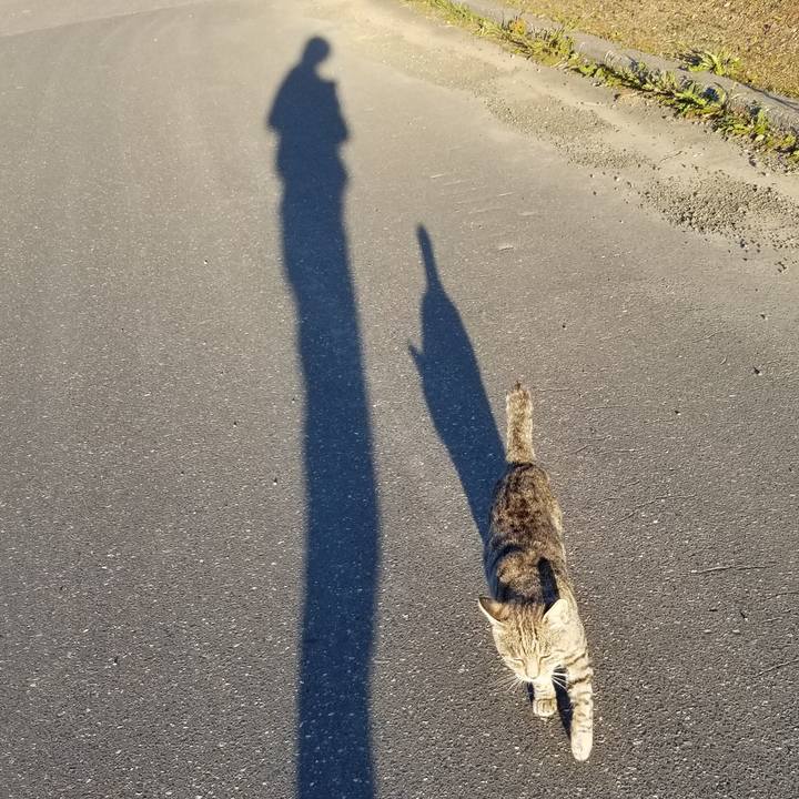 Ed659bd8 f227 4c02 84e0 f1d8db7bec7d 1631750682933