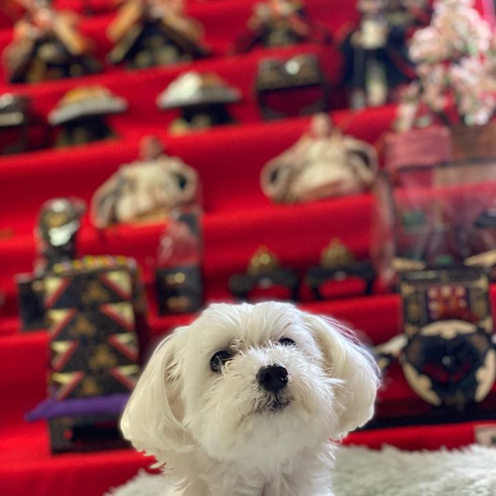 Ed65b17b 4fc6 4d5e a5c4 4248c207d993 1677852412623