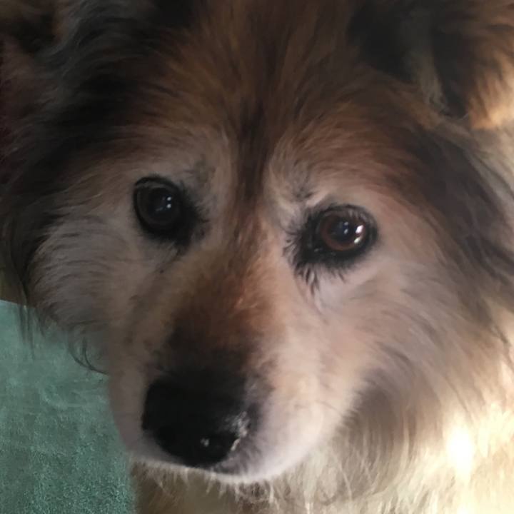 Ed65b412 f71e 4a6e 8d88 a8244d9253c0 1607592830591