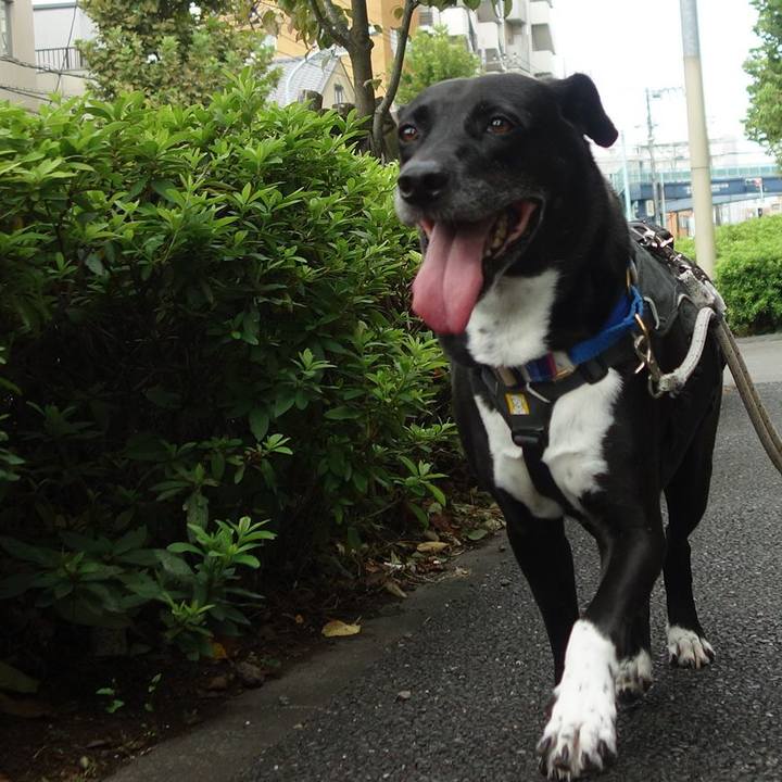 Ed65b80c ffd3 4e49 b796 f0bdb7f1de46 1662509568660