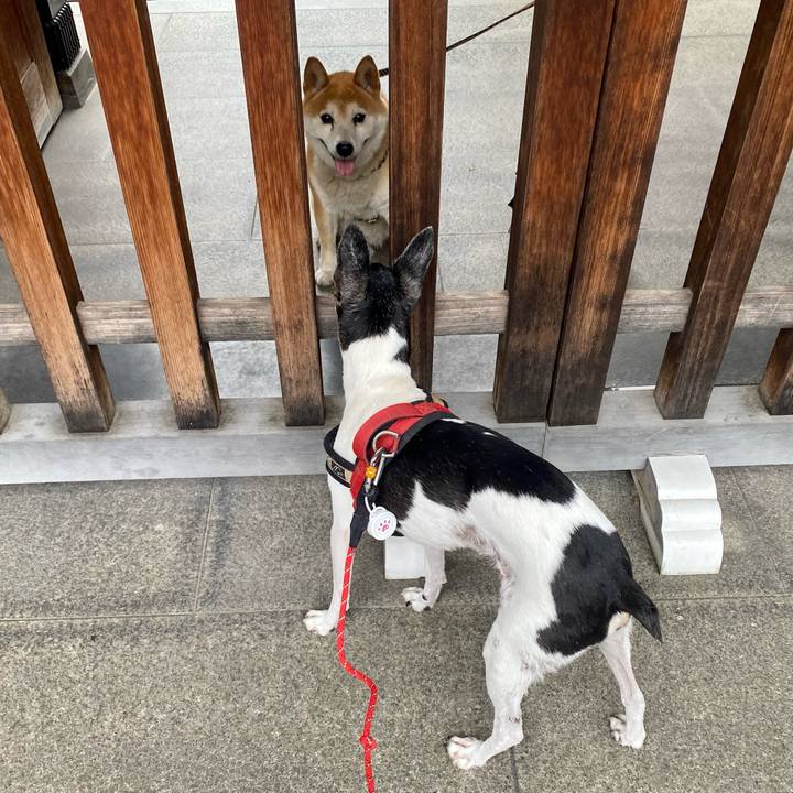 Ed65e626 4201 477e 84f6 ba6886daccbb 1631435100817