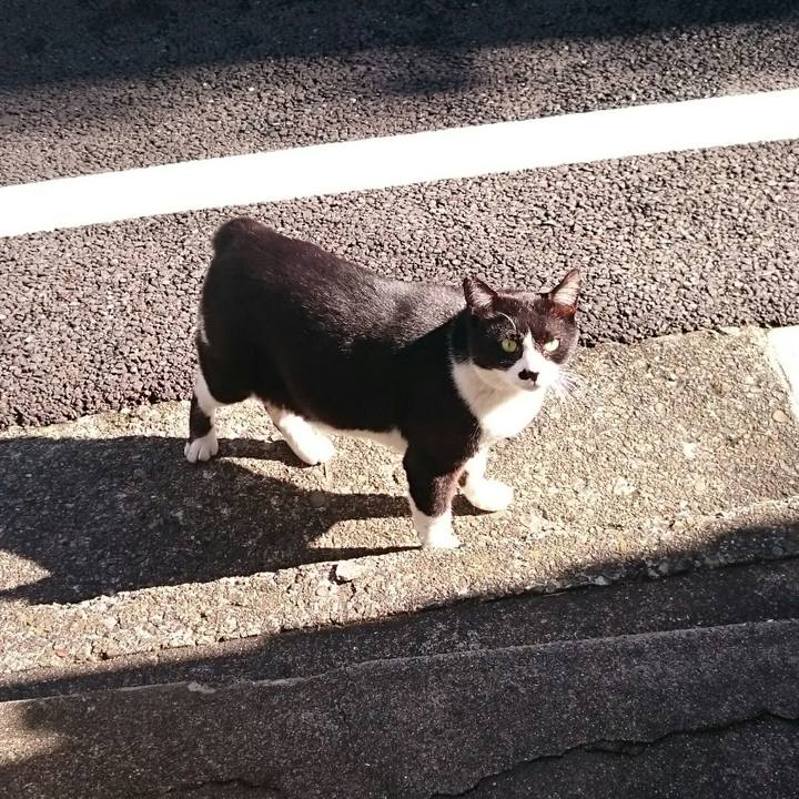 Ed65fbb9 8c02 4c41 8314 e8587b8411d5 1509680204249