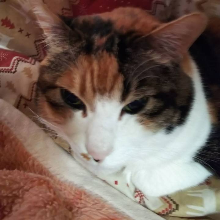 Ed65ff57 066f 4598 acd2 71aba042874d 1573343113420