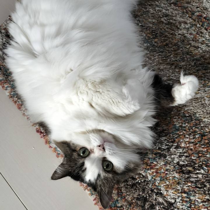 Ed6606e6 9c5c 452b bb50 9031842691c4 1764300542429