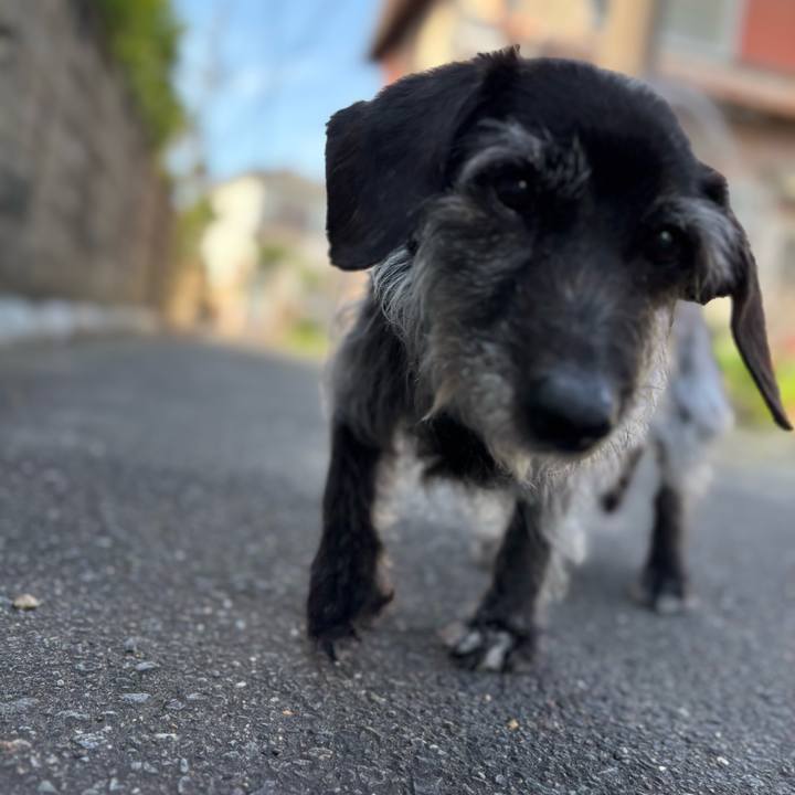 Ed6625ce a59c 477a 941f 4872b11f455b 1748733200690