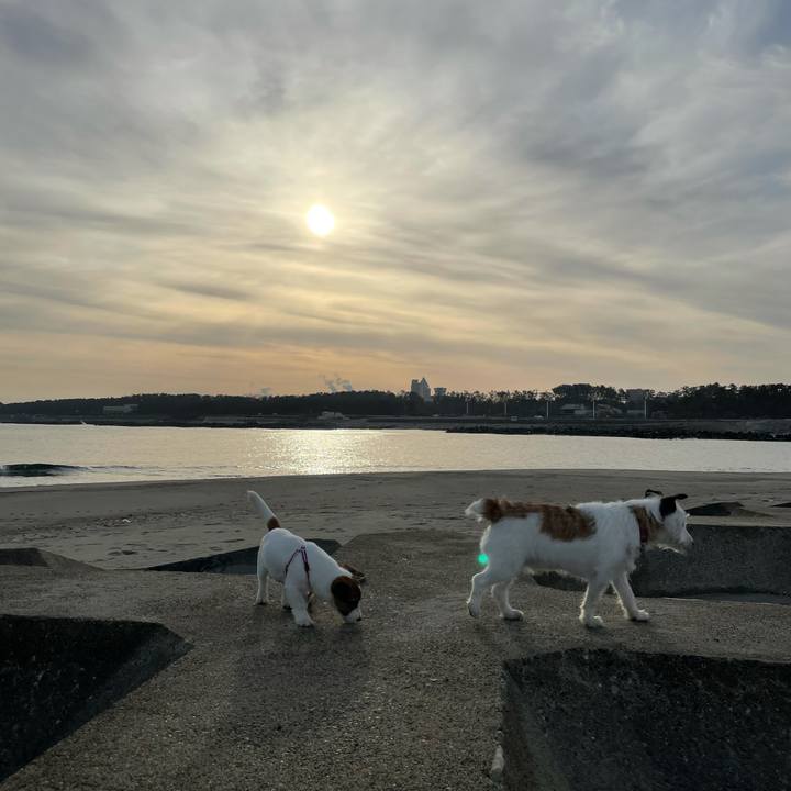 Ed66275a 9417 4673 9a16 f58ef9689019 1619217401264