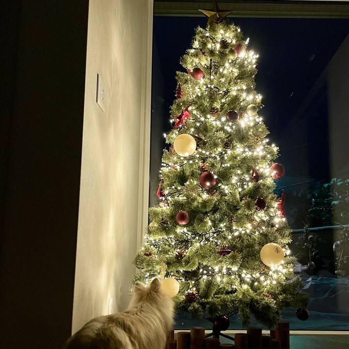 Ed6635a2 fed4 464f 9381 a4e9844ab311 1762607798925