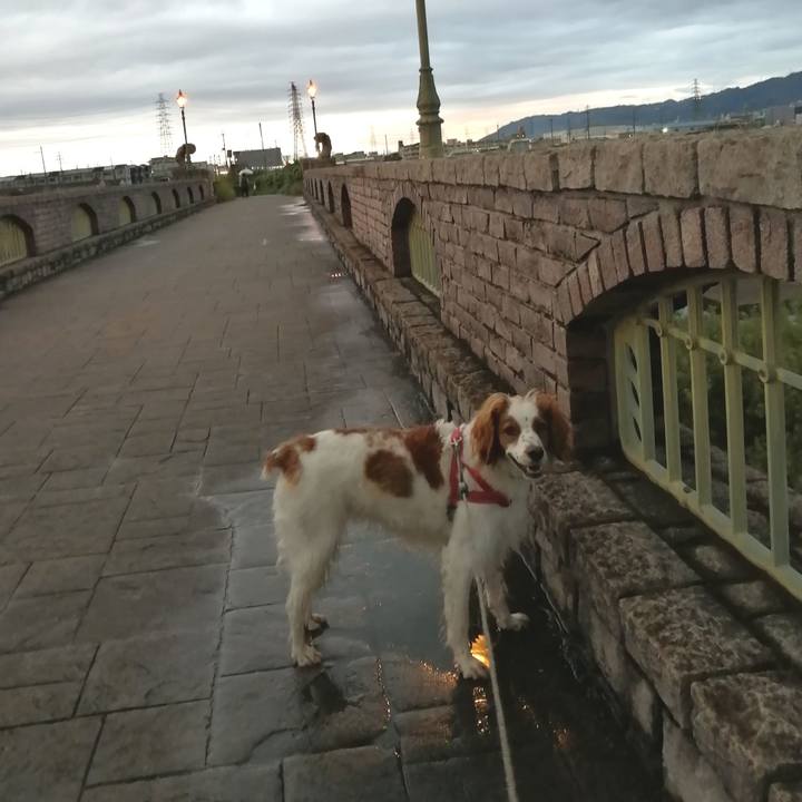 Ed663a22 0291 404c 9761 687c434c9e66 1571478321707