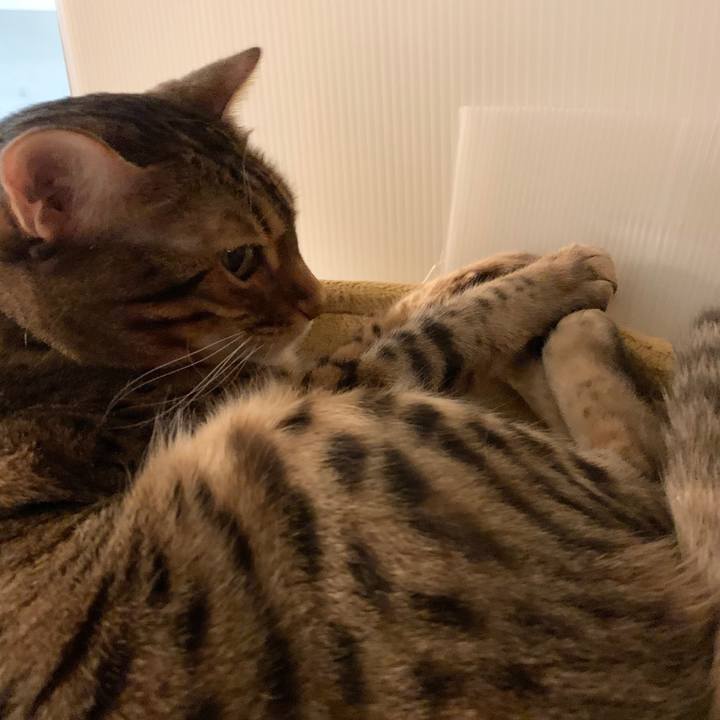 Ed666dfa edfe 465f ae6a 1f8ea027946b 1598571147851