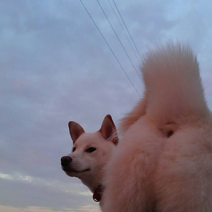 Ed6675fd f1b9 4465 9321 47335224b699 1564813989029