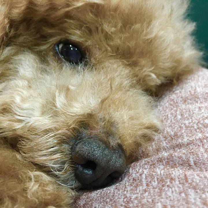 Ed66ccce d950 4bea b93e 2613b74e99f4 1584619279481