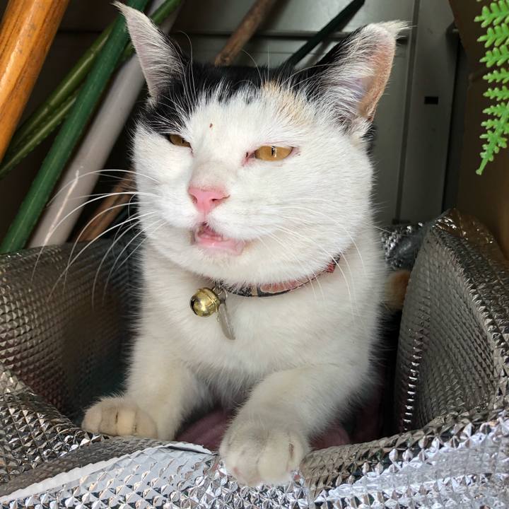 Ed66e571 e4a6 4f36 a81a a159a8c4d1e7 1610109068589