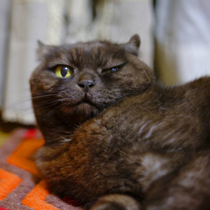 Ed67017b 6ed3 49e2 8ed7 8b995f7c18c6 1618850562930