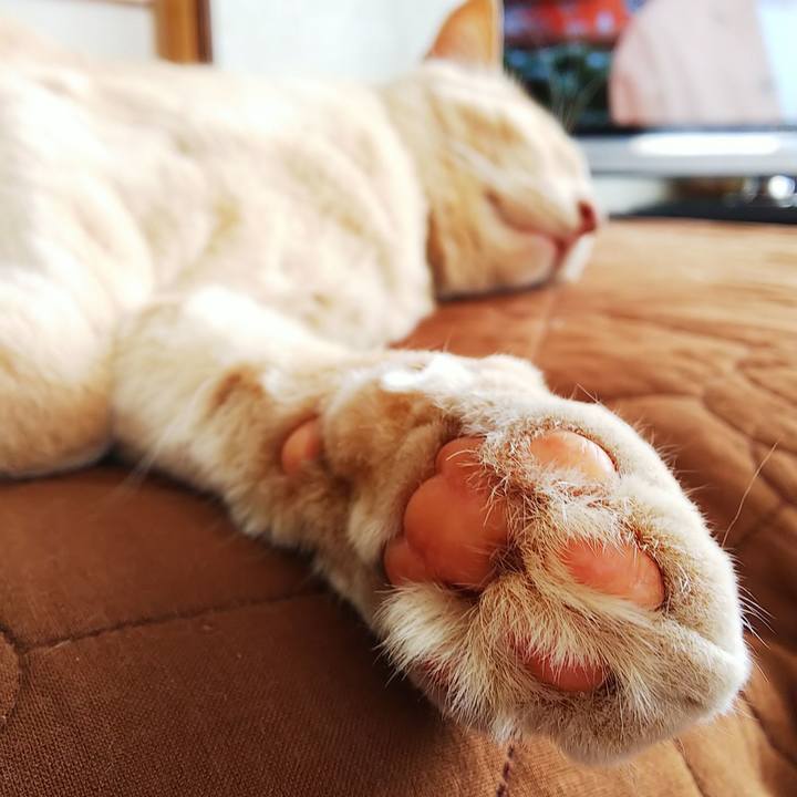 Ed672355 28c9 405c 96b1 133f47ebf703 1625968520321