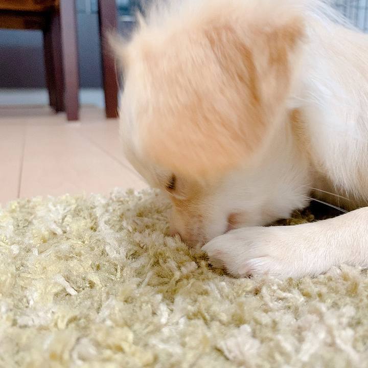 Ed67b194 2978 4e55 a41b ffa37ff22ad5 1596445619229