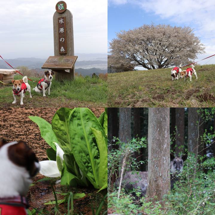 Ed67b240 47fd 4d64 93d2 0b2434192d0e 1523075372638