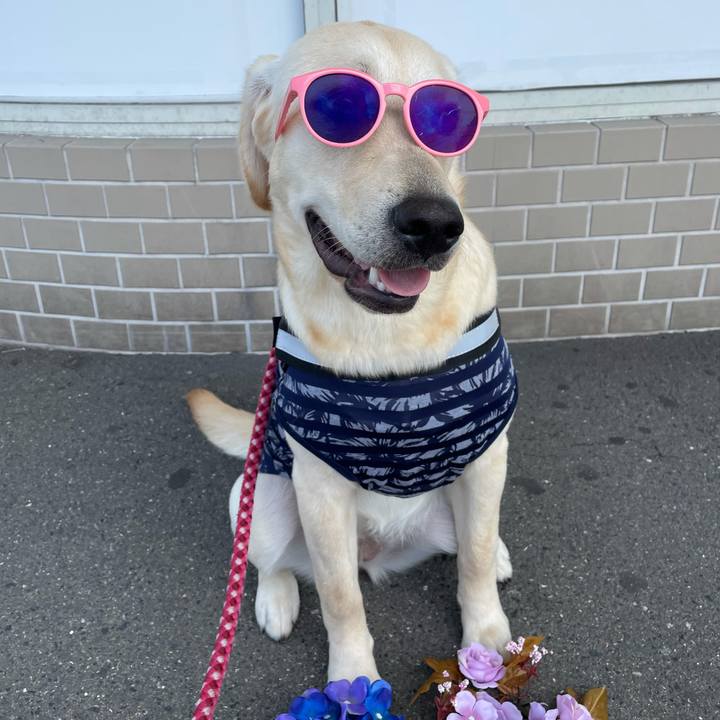 Ed67d0af 8e79 4f50 9e8d 9895499f6350 1624262571203