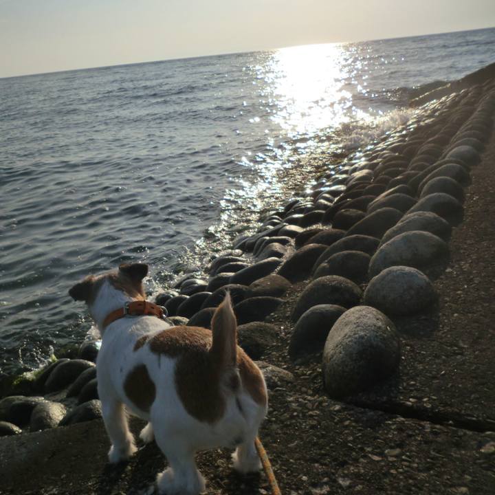 Ed67dbfb e29e 4c77 8b00 7e9f8e970172 1530119953181