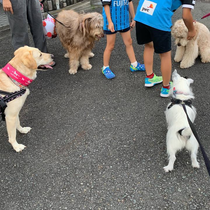 Ed67e4ac 8be3 4036 95c1 4ce473daec6c 1752830877717