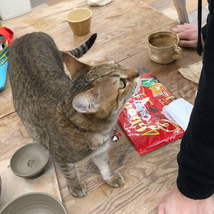 Ed67e82c 3cfa 4ece b76c aa50dd4e4fb4 1707997514563