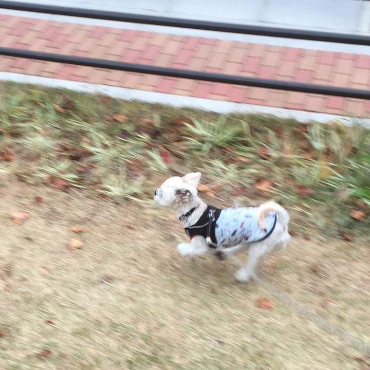 Ed67ea45 6bf8 453d aafd 02e7f9252545 1511001209005