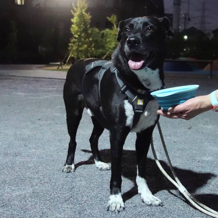 Ed683304 b942 4b31 91a8 01a4ebf73244 1653129945959