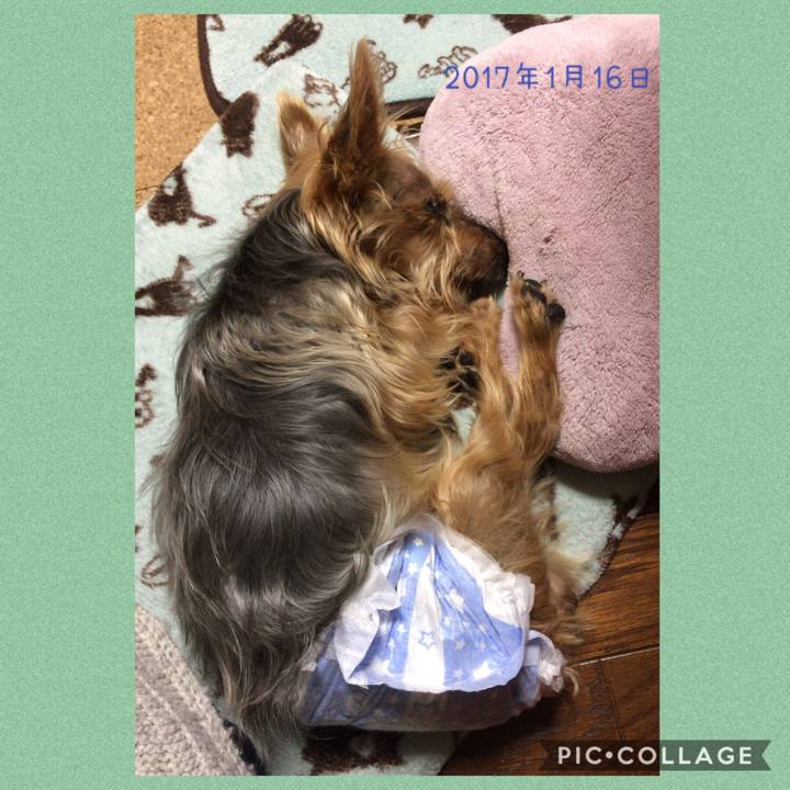 Ed683bcf 396e 472f 9938 6f630b7ab8f8 1550494266303