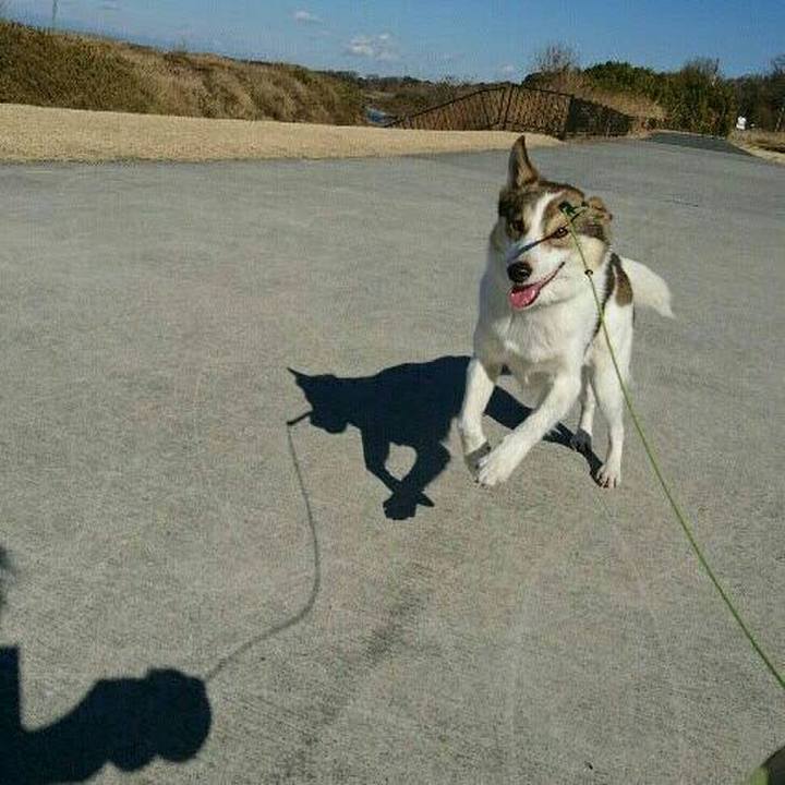 Ed6840d3 9b77 47cc 83ef 8f0692ff02c7 1549026369019