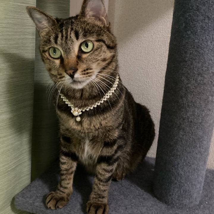 Ed684833 402c 401f 9ec1 fe3955cd3923 1625109343851