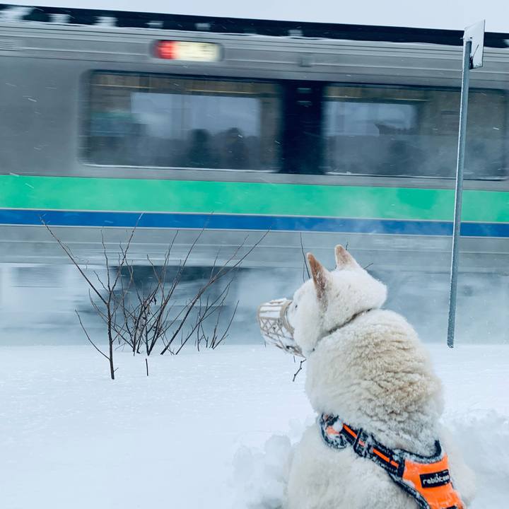 Ed6850ea 2db6 4a3a 90e3 0f2e64eb87a0 1674602523809