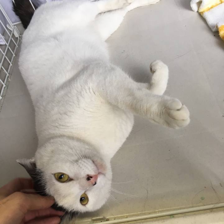 Ed68555b e531 4041 b71c 76b4d2bf9719 1562414057612