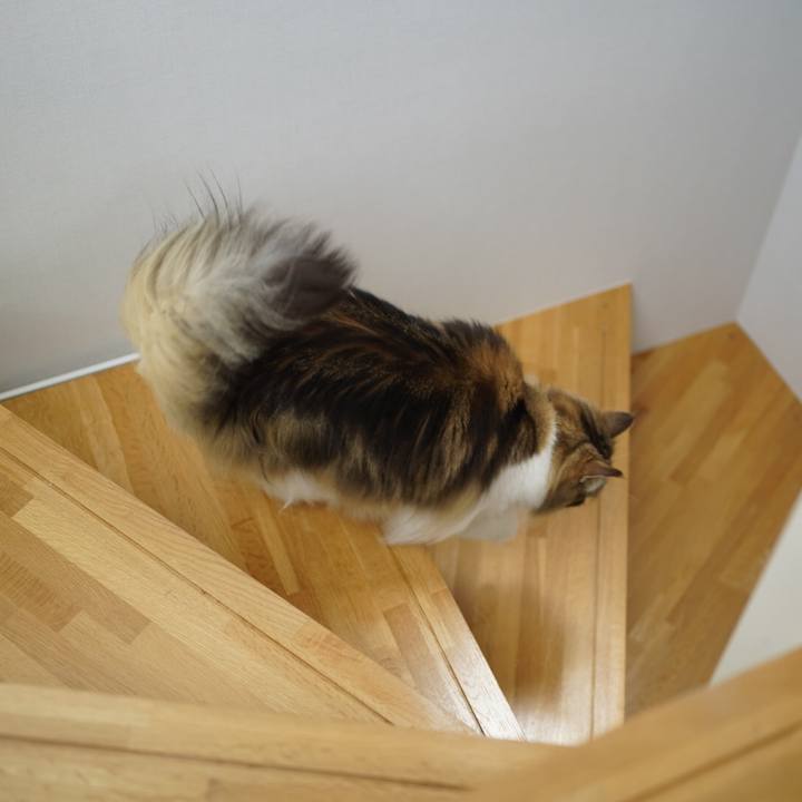 Ed685665 626a 450a b6d7 509ad220349d 1622688586020