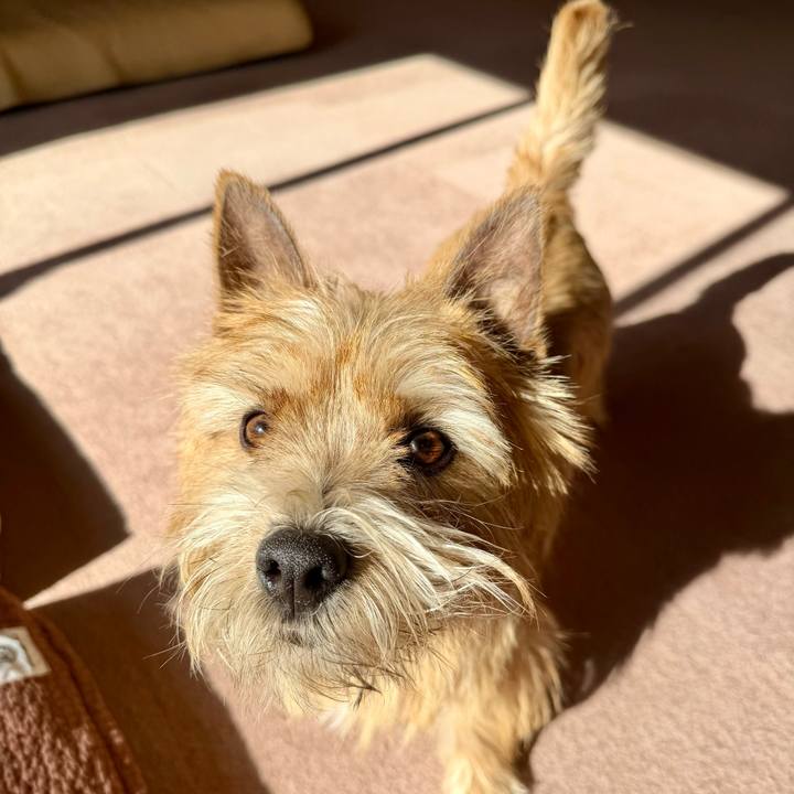 Ed686464 8469 458f 9389 988dd203d7bb 1768987323264